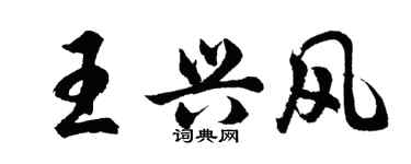 胡问遂王兴风行书个性签名怎么写