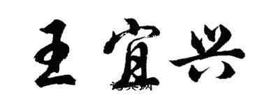 胡问遂王宜兴行书个性签名怎么写