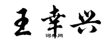胡问遂王幸兴行书个性签名怎么写
