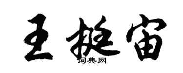 胡问遂王挺宙行书个性签名怎么写