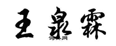 胡问遂王泉霖行书个性签名怎么写