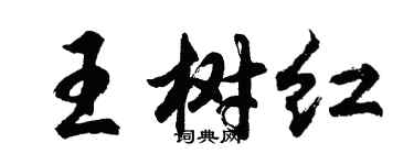 胡问遂王树红行书个性签名怎么写