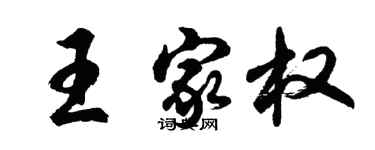 胡问遂王家权行书个性签名怎么写