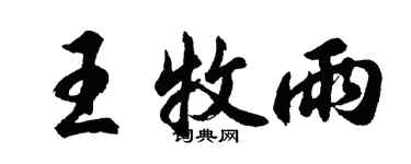 胡问遂王牧雨行书个性签名怎么写