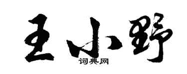 胡问遂王小野行书个性签名怎么写