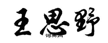 胡问遂王思野行书个性签名怎么写