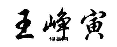 胡问遂王峥寅行书个性签名怎么写