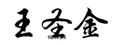胡问遂王圣金行书个性签名怎么写