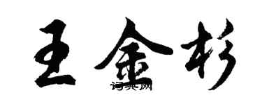 胡问遂王金杉行书个性签名怎么写
