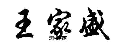 胡问遂王家盛行书个性签名怎么写