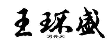 胡问遂王环盛行书个性签名怎么写