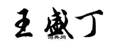 胡问遂王盛丁行书个性签名怎么写
