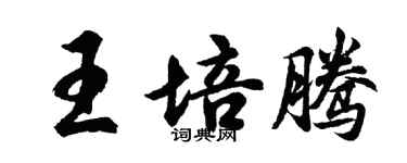 胡问遂王培腾行书个性签名怎么写