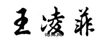 胡问遂王凌菲行书个性签名怎么写