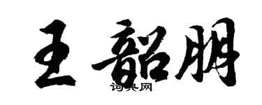 胡问遂王韶朋行书个性签名怎么写