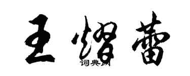 胡问遂王熠蕾行书个性签名怎么写