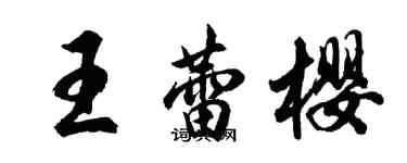 胡问遂王蕾樱行书个性签名怎么写
