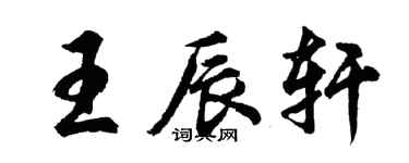 胡问遂王辰轩行书个性签名怎么写
