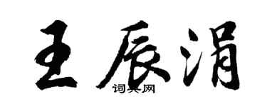 胡问遂王辰涓行书个性签名怎么写