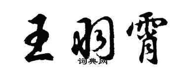 胡问遂王羽霄行书个性签名怎么写