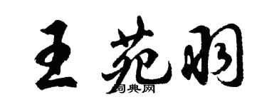 胡问遂王苑羽行书个性签名怎么写
