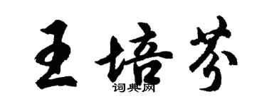 胡问遂王培芬行书个性签名怎么写