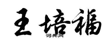 胡问遂王培福行书个性签名怎么写