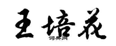 胡问遂王培花行书个性签名怎么写