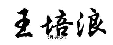 胡问遂王培浪行书个性签名怎么写