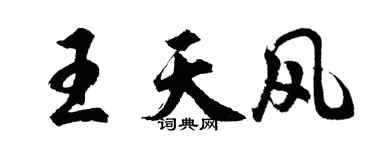 胡问遂王天风行书个性签名怎么写
