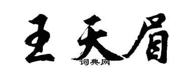胡问遂王天眉行书个性签名怎么写