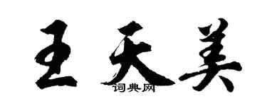 胡问遂王天美行书个性签名怎么写