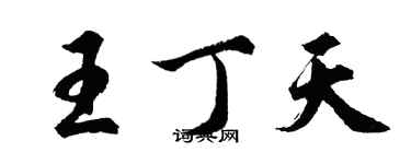 胡问遂王丁天行书个性签名怎么写