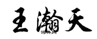胡问遂王瀚天行书个性签名怎么写