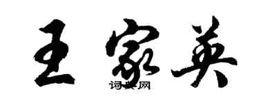 胡问遂王家英行书个性签名怎么写