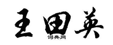 胡问遂王田英行书个性签名怎么写