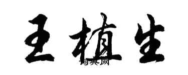 胡问遂王植生行书个性签名怎么写
