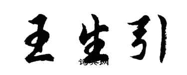 胡问遂王生引行书个性签名怎么写