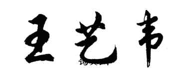胡问遂王艺韦行书个性签名怎么写
