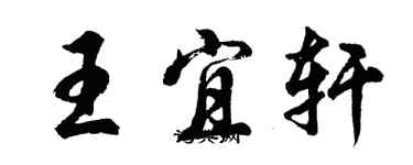 胡问遂王宜轩行书个性签名怎么写