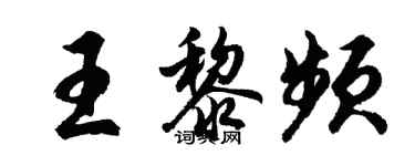 胡问遂王黎频行书个性签名怎么写