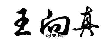 胡问遂王向真行书个性签名怎么写