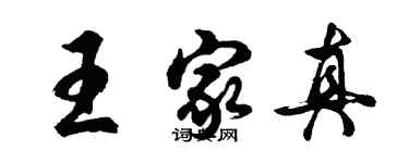 胡问遂王家真行书个性签名怎么写