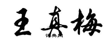 胡问遂王真梅行书个性签名怎么写
