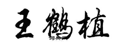 胡问遂王鹤植行书个性签名怎么写