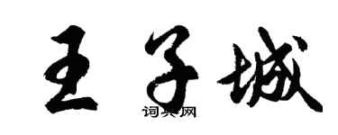 胡问遂王子城行书个性签名怎么写
