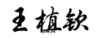 胡问遂王植钦行书个性签名怎么写