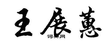 胡问遂王展蕙行书个性签名怎么写