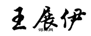 胡问遂王展伊行书个性签名怎么写