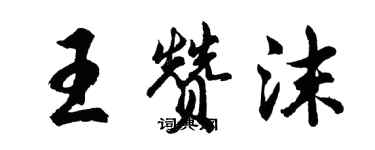胡问遂王赞沫行书个性签名怎么写